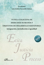 TUTELA COLECTIVA DE DERECHOS HUMANOS Y OBJETIVOS DE DESARROLLO SOSTENIBLE: INTEGRACIÓN, JURISDICCIÓN E IGUALDAD