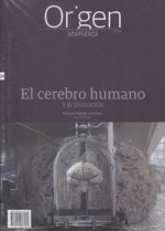 ORIGEN 20 EL CEREBRO HUMANO