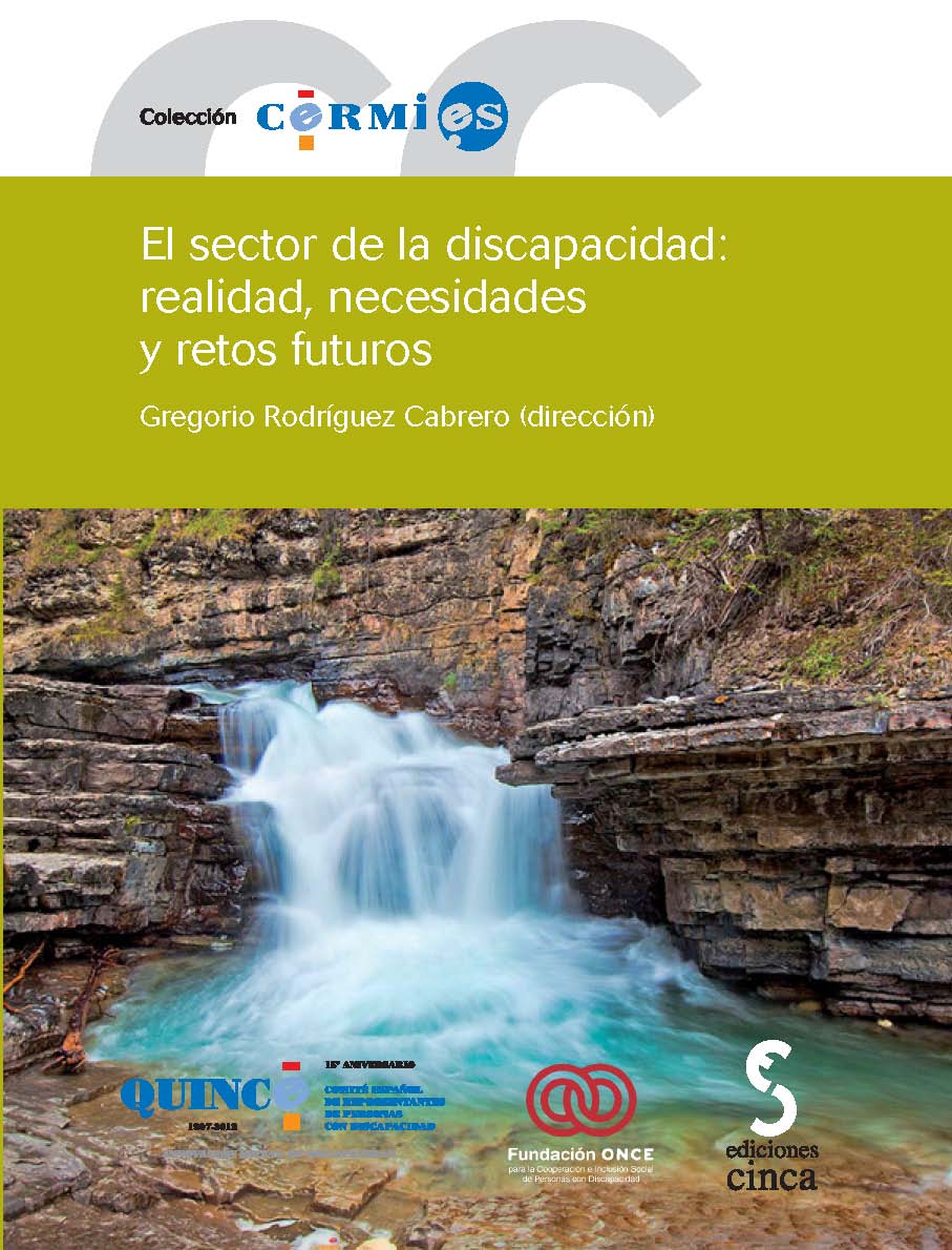 SECTOR DE LA DISCAPACIDAD: REALIDAD, NECESIDADES Y RETOS FUTUROS, EL