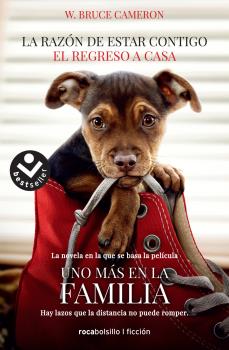 RAZÓN DE ESTAR CONTIGO. EL REGRESO A CASA