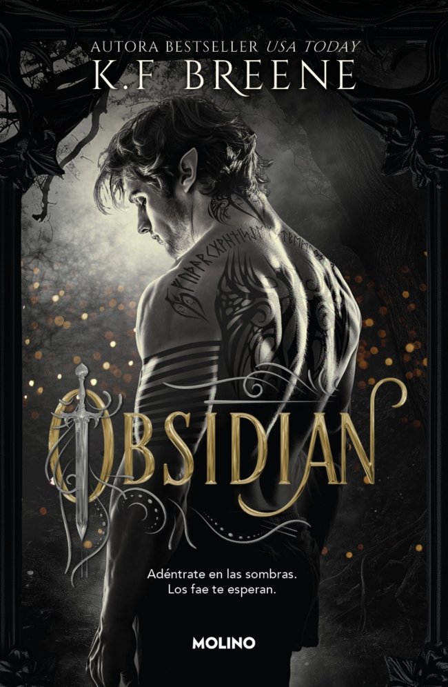 LOS FAE DE LAS SOMBRAS 1 - OBSIDIAN