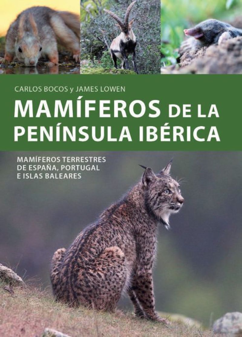 MAMIFEROS DE LA PENINSULA IBERICA