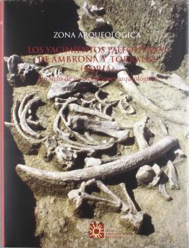 ZONA ARQ-5-YACIMIENTOS DE AMBRON