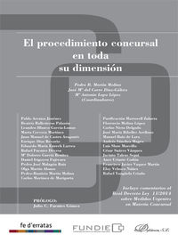 PROCEDIMIENTO CONCURSAL EN TODA SU DIMENSIÓN