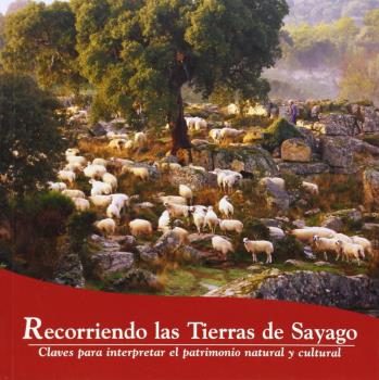 RECORRIENDO LAS TIERRAS DE SAYAGO