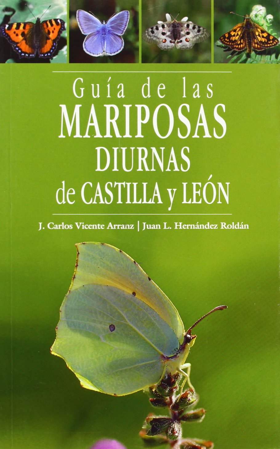 MARIPOSAS DIURNAS DE CASTILLA Y LEON Guia de las