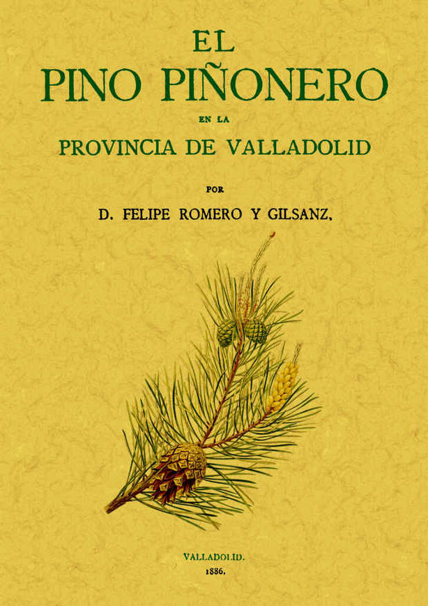 PINO PIÑONERO EN LA PROV. DE VALLADOLID, EL