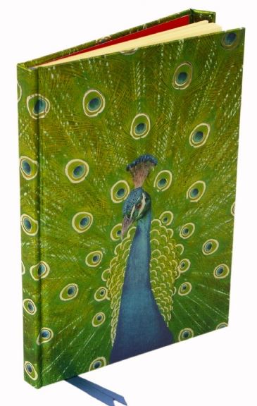 CUATD RUTHERFORD PEACOCK