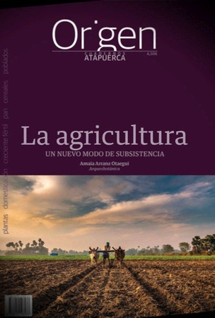 ORIGEN 16. LA AGRICULTURA