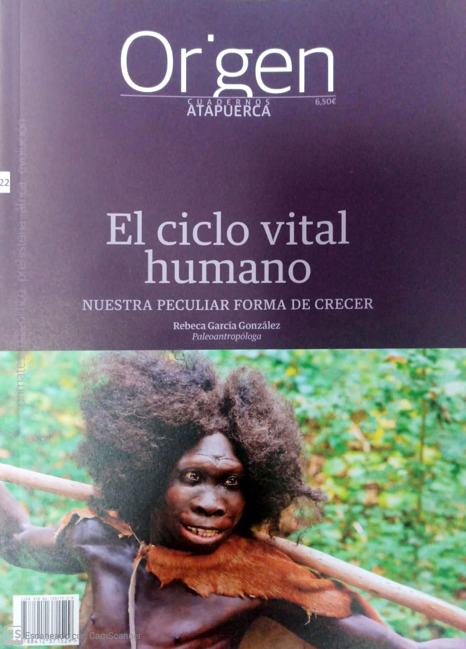 ORIGEN 22. EL CICLO VITAL HUMANO