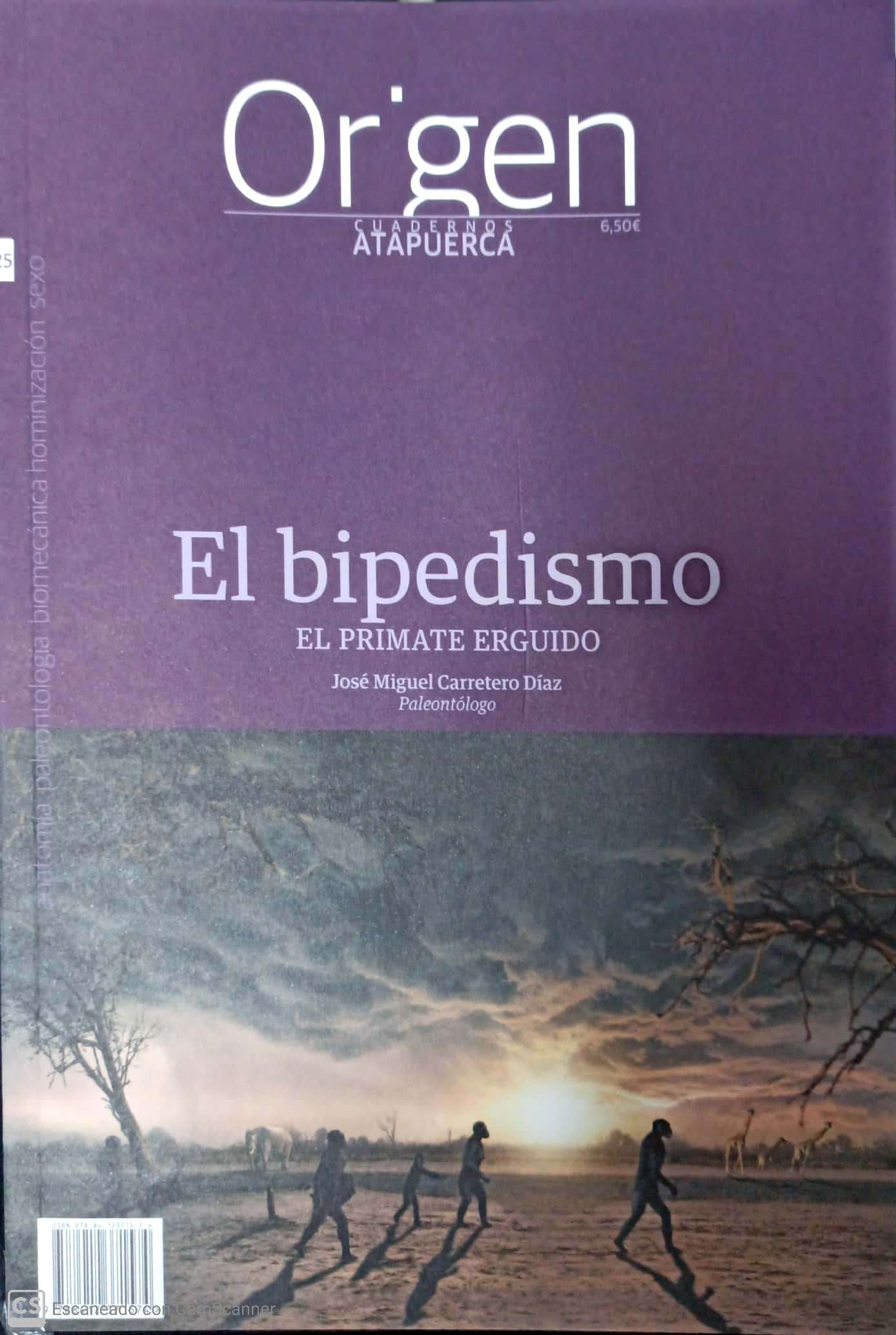 ORIGEN 25. EL BIPEDISMO