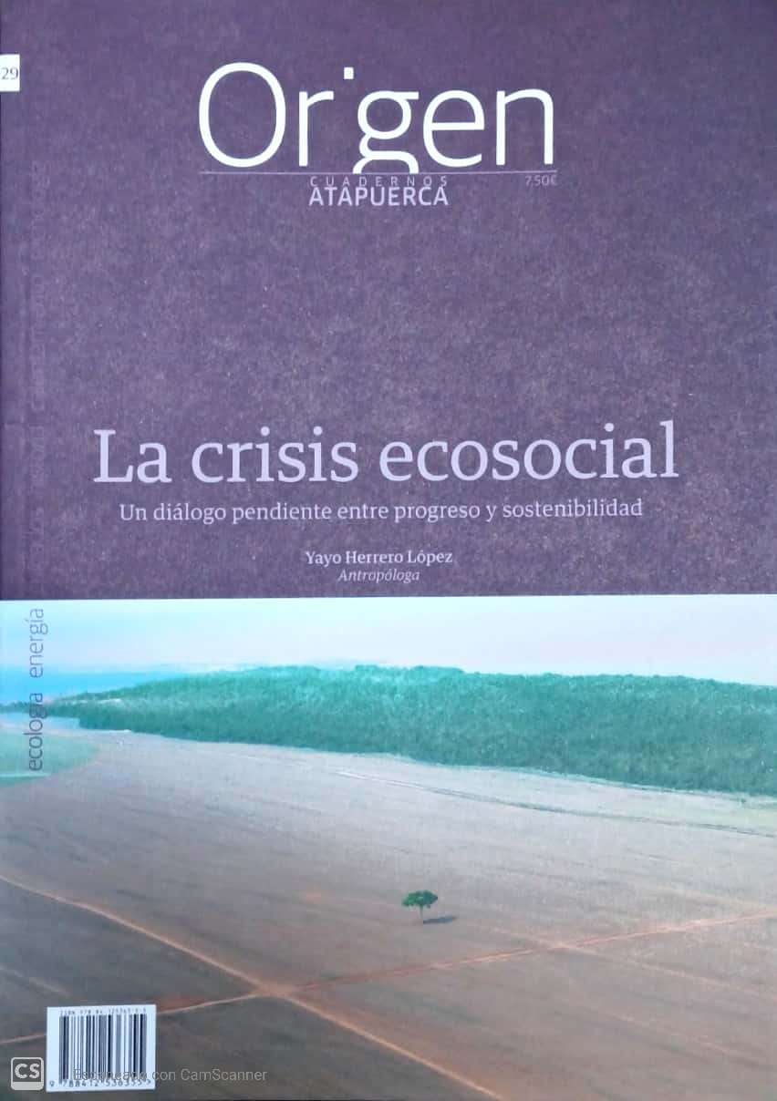 ORIGEN 29 LA CRISIS ECOSOCIAL