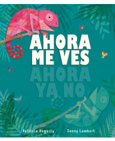 AHORA ME VES, AHORA YA NO