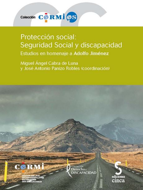 PROTECCION SOCIAL: SEGURIDAD SOCIAL Y DISCAPACIDAD