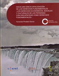 HACIA UNA UNICA CATALOGACION DE LOS DERECHOS FUNDAMENTALES