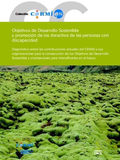 OBJETIVOS DE DESARROLLO SOSTENIBLE Y PROMOCION DE LOS DERECHOS DE LAS PERSONAS CON DISCAPACIDAD