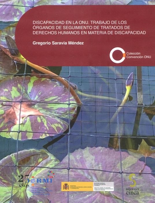 DISCAPACIDAD EN LA ONU. TRABAJO DE LOS ÓRGANOS DE SEGUIMIENT