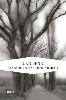 VARIACIONES SOBRE UN TEMA ROMáNTICO