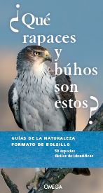 ¿QUE RAPACES Y BUHOS SON ESTOS? - GUIAS DE LA NATURALEZA FORMATO DE BOLSILLO