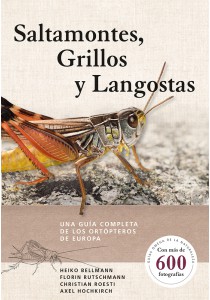 SALTAMONTES, GRILLLOS Y LANGOSTAS