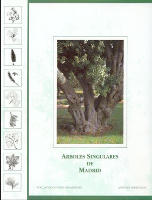 ARBOLES SINGULARES DE MADRID