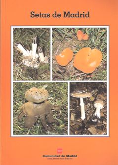 SETAS DE MADRID