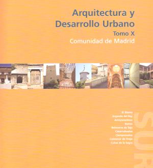 ARQUITECTURA Y DESARROLLO URBANO CAM ZONA SUR TOMO X