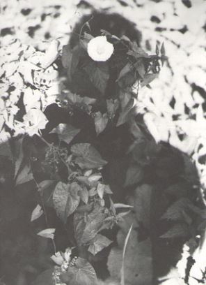 JOCHEN LEMPERT