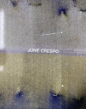 JUNE CRESPO: VIERON SU CASA HACERSE CAMPO