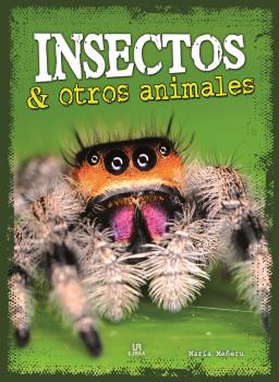 Insectos y Otros Animales  - REINO ANIMAL