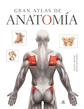GRAN ATLAS DE ANATOMÍA