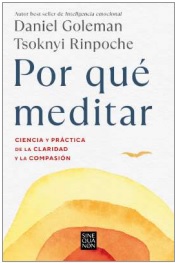 POR QUÉ MEDITAR