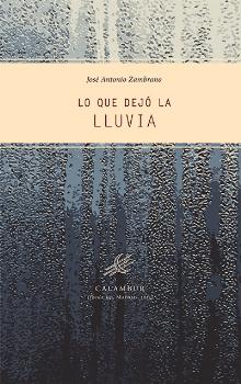 LO QUE DEJO LA LLUVIA