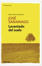 LEVANTADO DEL SUELO