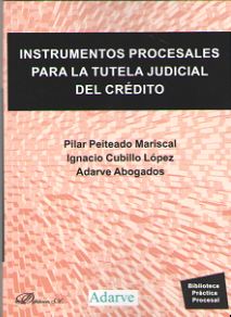 INSTRUMENTOS PROCESALES PARA LA TUTELA JUDICIAL DE CREDITO