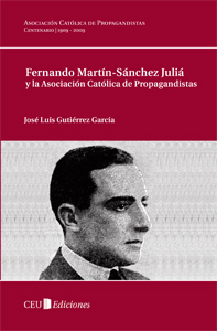 FERNANDO MARTIN-SANCHEZ JULIA Y ASOCIACI