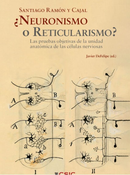 SANTIAGO RAMÓN Y CAJAL ¿NEURONISMO O RETICULARISMO?