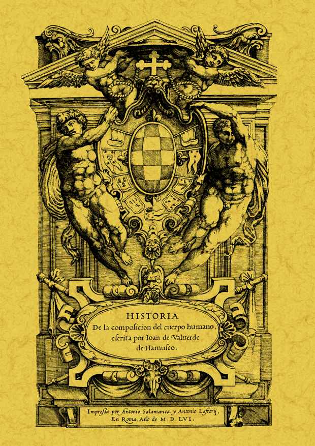 HISTORIA DE LA COMPOSICION DEL CUERPO HUMANO