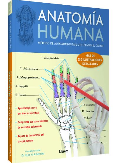 ANATOMIA HUMANA. METODO DE AUTOAPRENDIZAJE UTILIZANDO EL COLOR