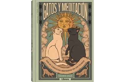 GATOS Y MEDITACION
