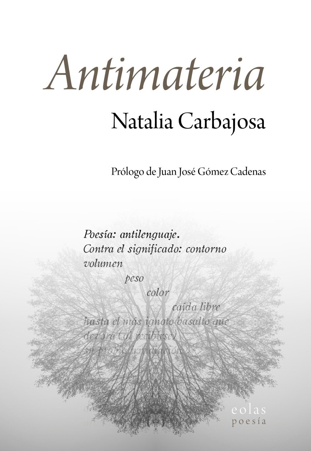 ANTIMATERIA